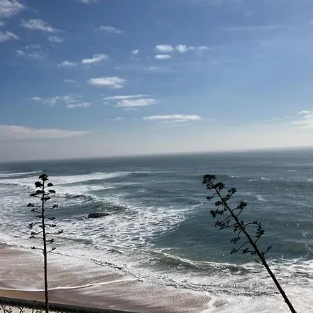 Cascais Flower * Estoril