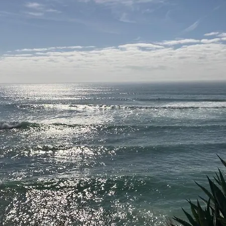 Cascais Flower Estoril